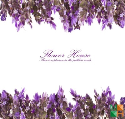  Tranh dán tường nhập khẩu Hàn Quốc hoa lavender FW - 161